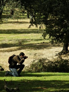 Javier Pérez Fotografía naturaleza