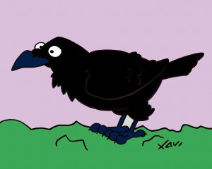 Cuervo Corvus corax Caricatura