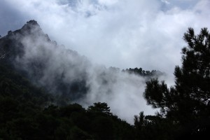 Paisaje cazorla