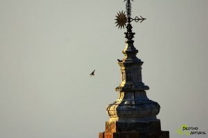 Torre de la Victoria y primillas