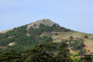 Sierra de las Nieves