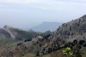 Sierra de las Nieves GOAVAN