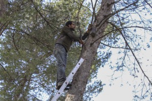 MedioAmbiente Estepa