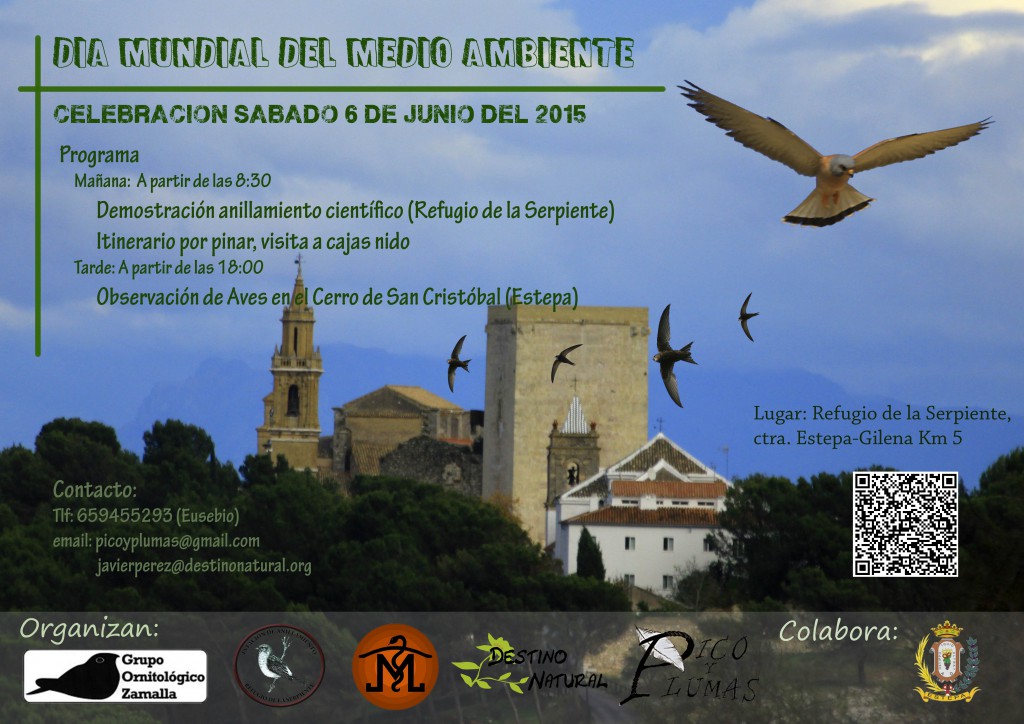 Cartel medioambiente 2015 Estepa