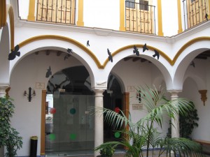 casa de la cultura aves