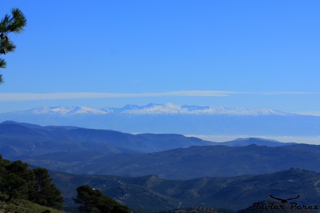 Vistas a Sierra Nevada