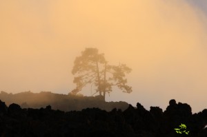 Nubes en la alta montaña