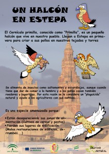 Cartel primilla Logos