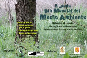 Cartel Día Mundial Medio Ambiente 2016