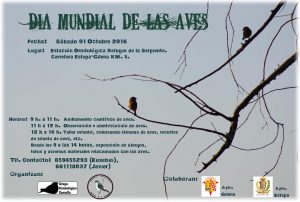 dia-mundial-aves-2016