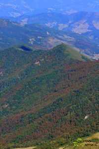 Parque Nacional Picos de Europa