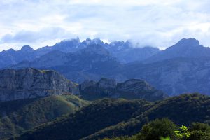 Picos de Europa