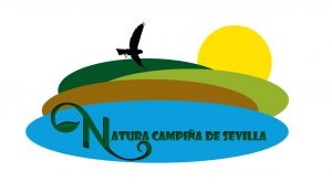 Logo 6