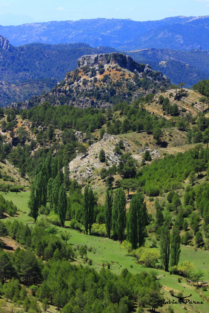 Paisaje Sierra de Segura