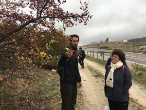 Usos y utilidades de las plantas