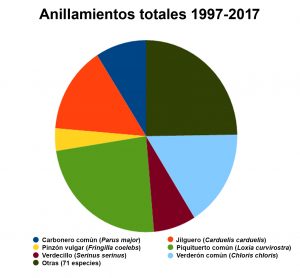 Anillamientos totales