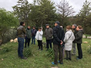 III Ruta verde por Estepa