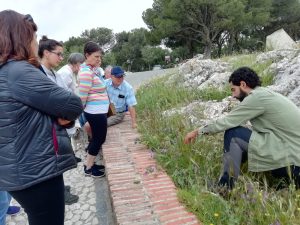 Ruta Botánica en el Cerro de San Cristóbal