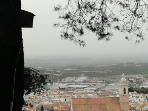 Caja nido Estepa