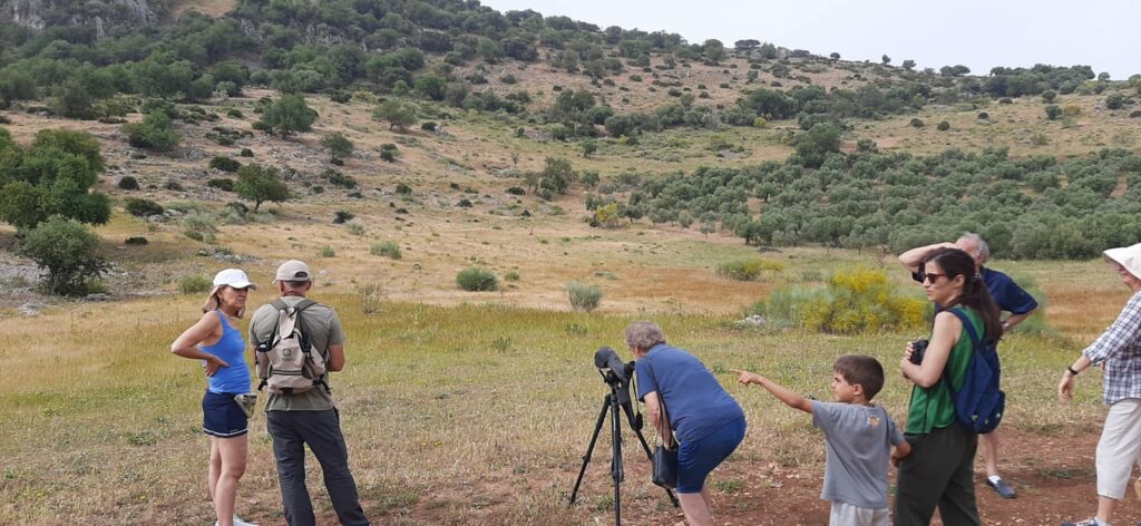 Observando aves en la sierra del moralejo