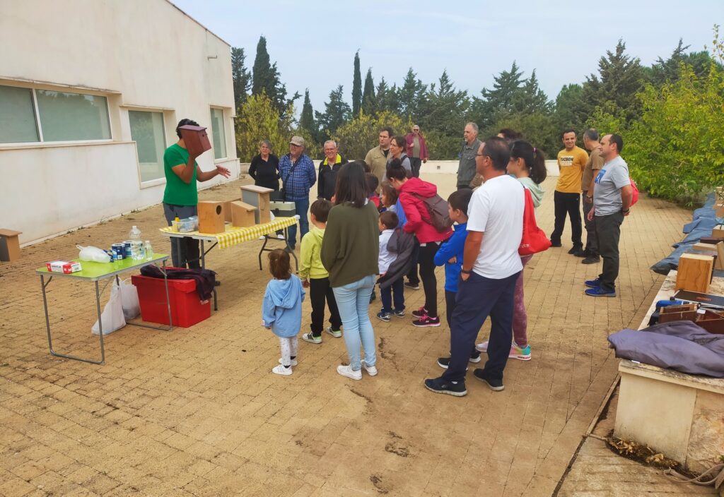 Taller cajas nido