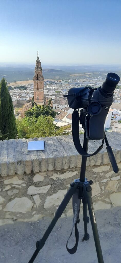 Censo cernícalo primilla en Estepa