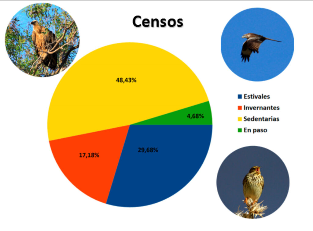 Censos de aves en Las Víboras