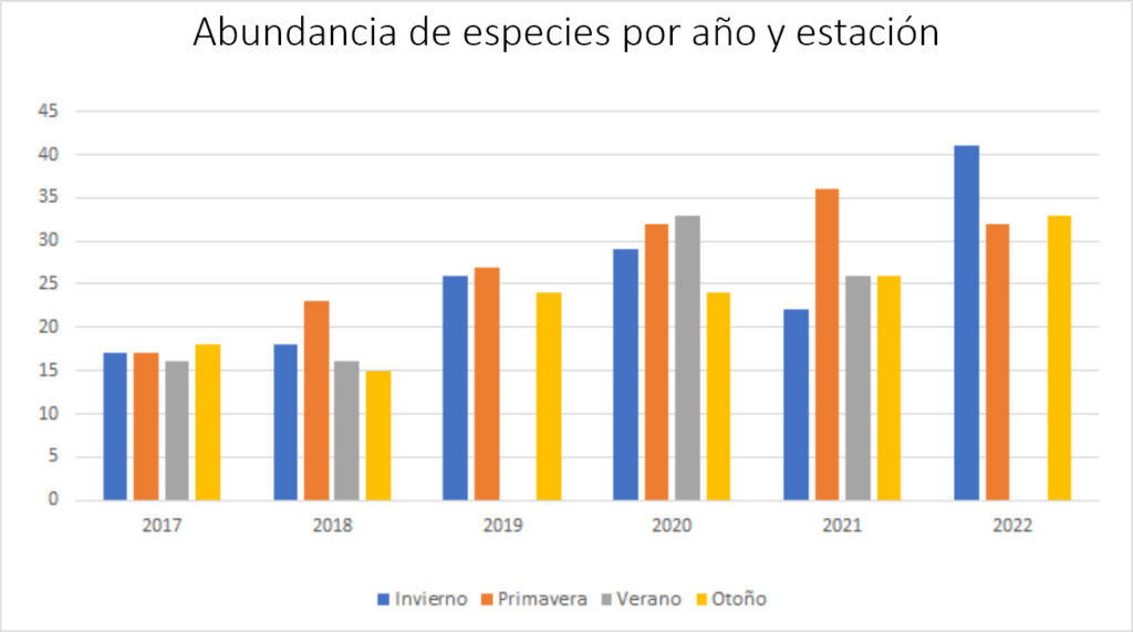 Abundancia de aves por año y estación