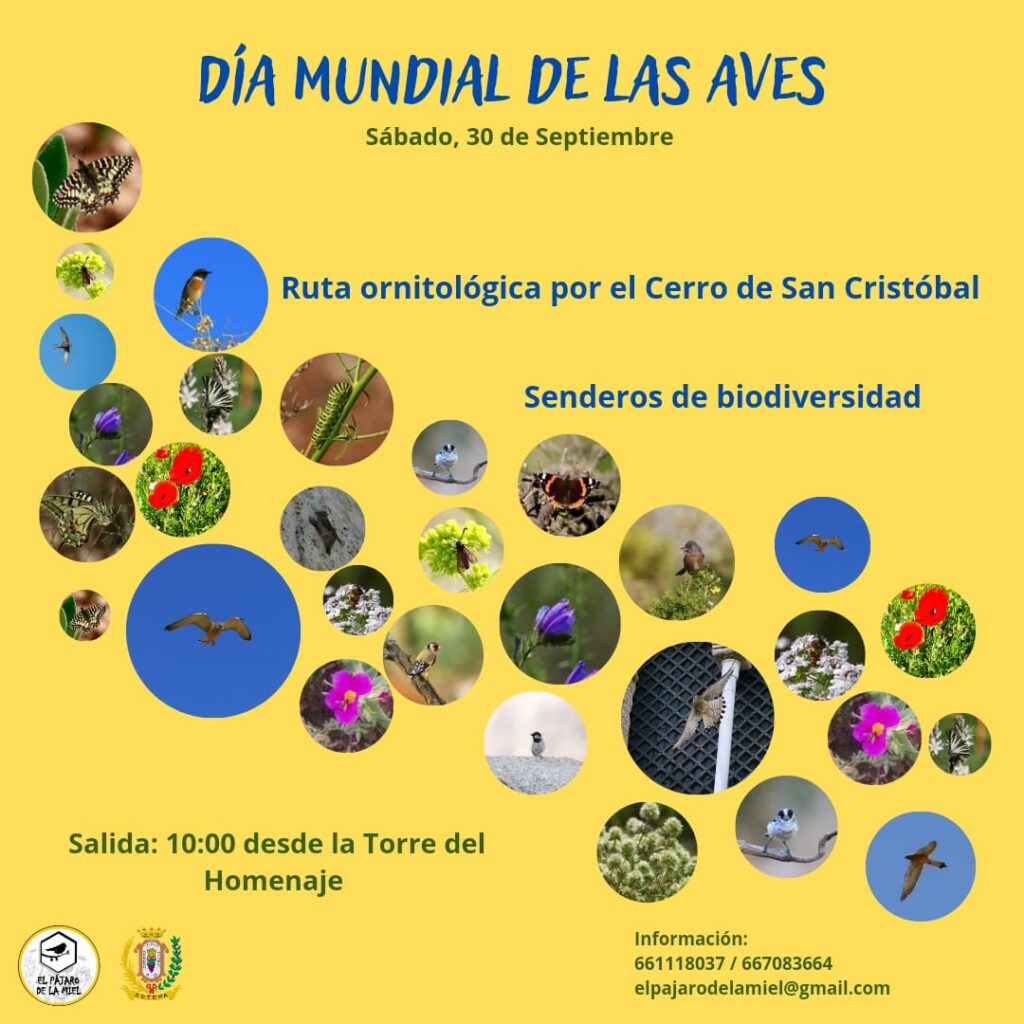 Día de las Aves 2023