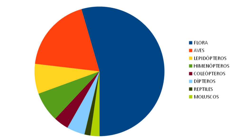 Resultado bioblizt Estepa