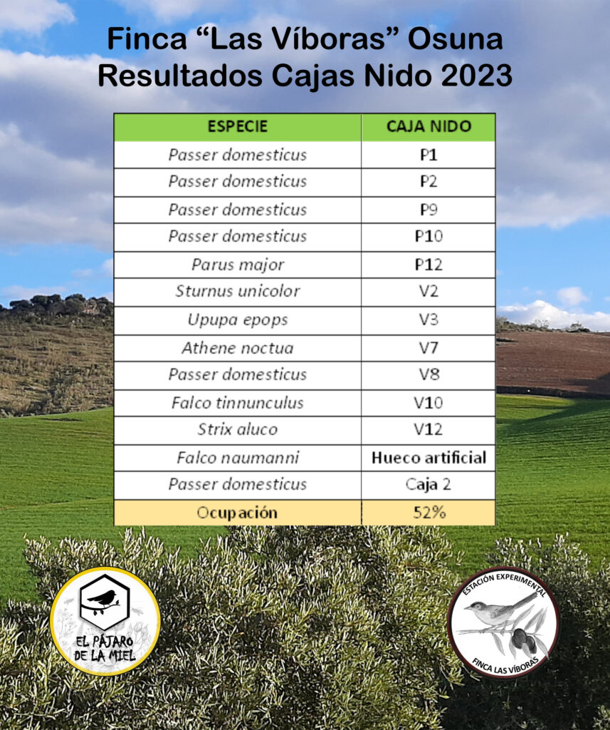 cajas nido de Las Víboras 2023