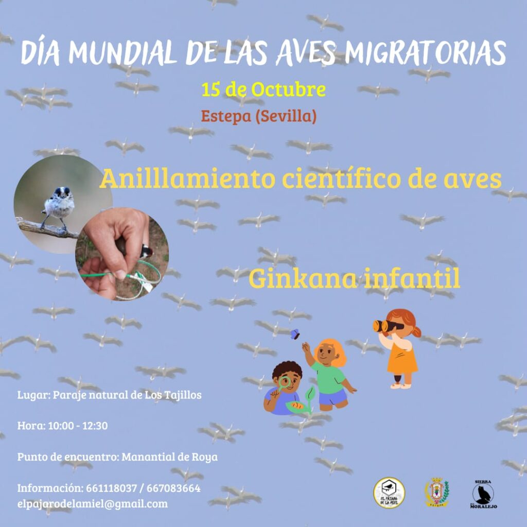 Día Mundial Aves Migratorias Estepa