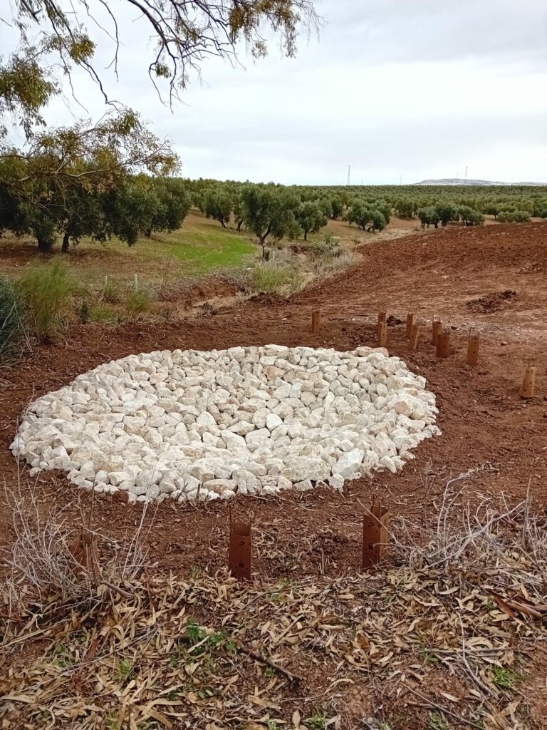 Las Víboras Osuna