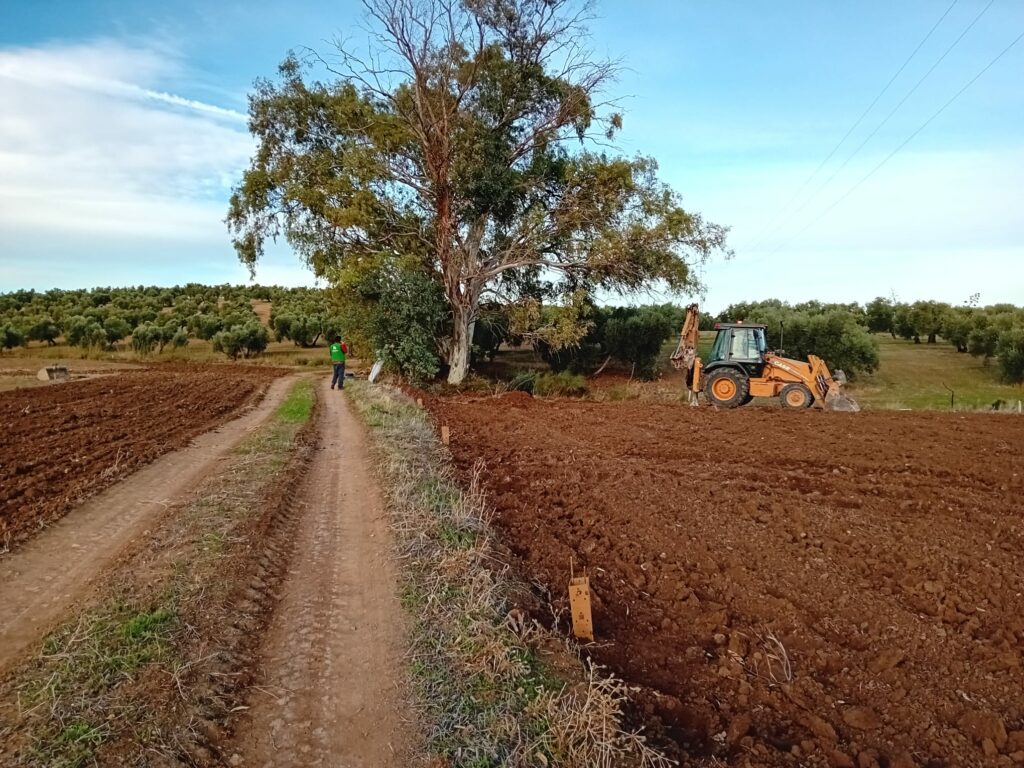 Trabajos de conservación en Las Víboras