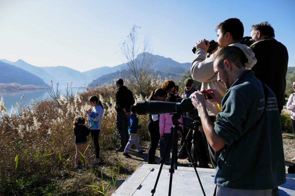 Embalse de Malpasillo y aves