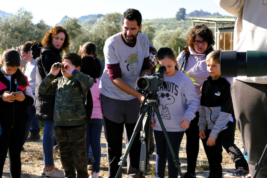 Observación de aves