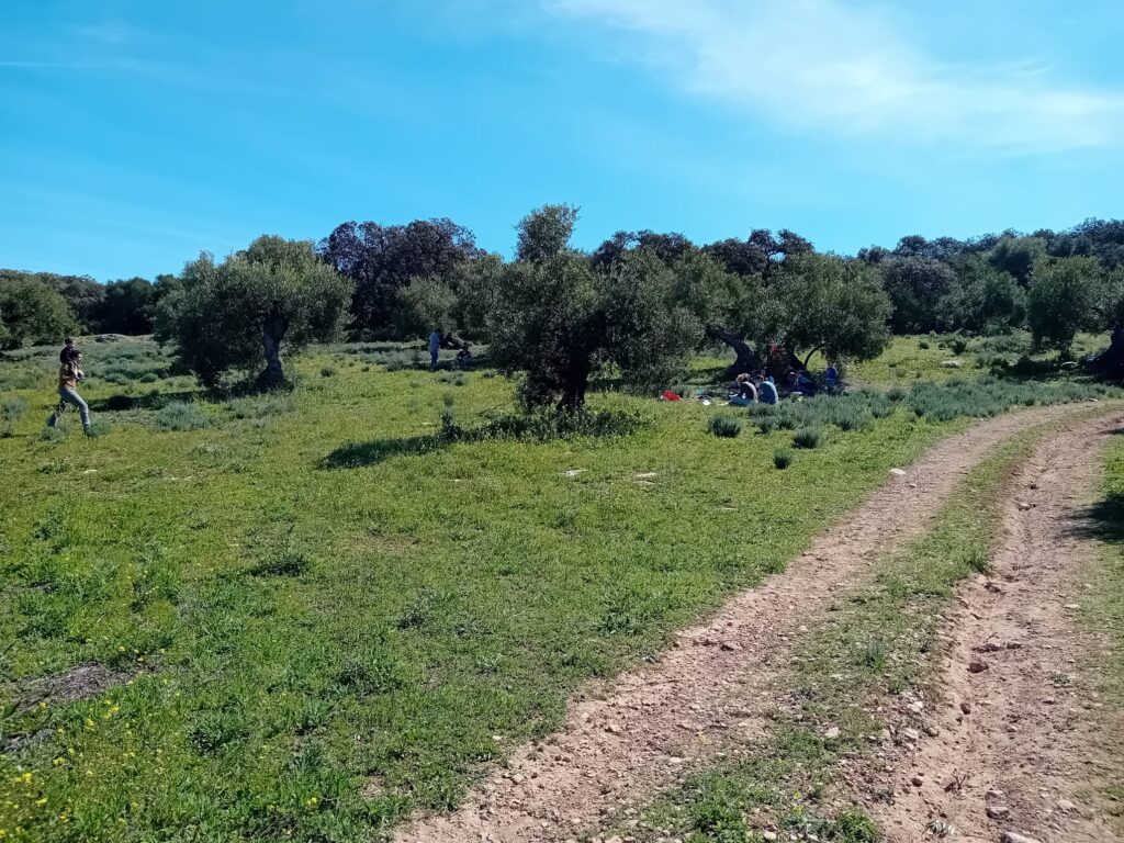 
Olivar milenario y participantes