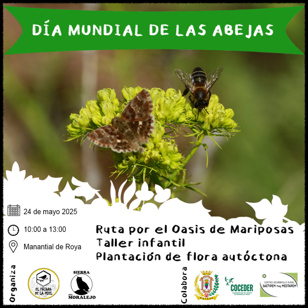 Día Mundial de las Abejas 2025